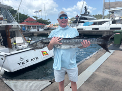 barracuda