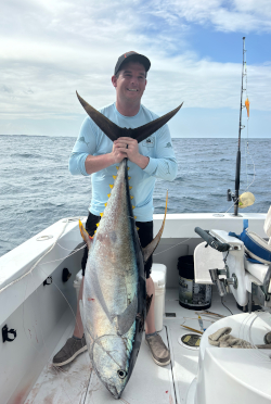 yellowfin